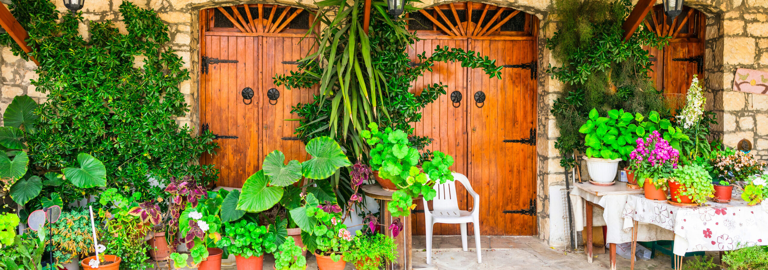 כפריס מסורתיים בקפריסין אומודוס כפריס מסורתיים בקפריסין אומודוס